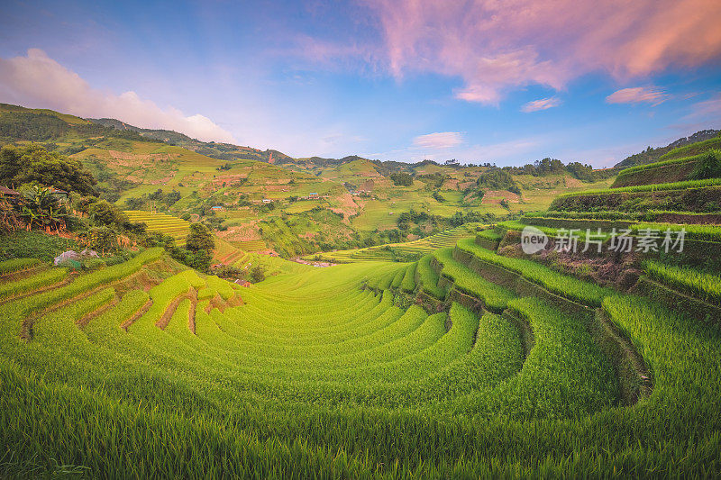 美丽的风景，绿色的稻田准备在越南西北部的梯田日落山在木仓寨，Yen Bai，越南